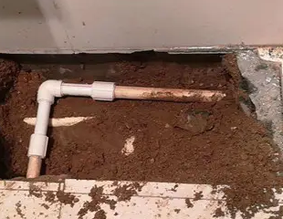 新巴尔虎右测漏水哪家好