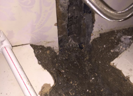 新巴尔虎右卫生间测漏水哪家好