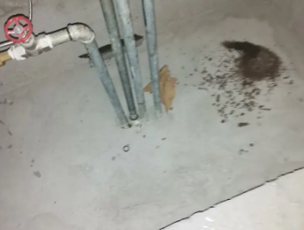 新巴尔虎右卫生间测漏水价格明细