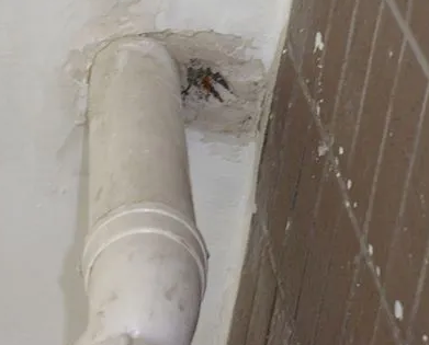 新巴尔虎右漏水检测哪家好